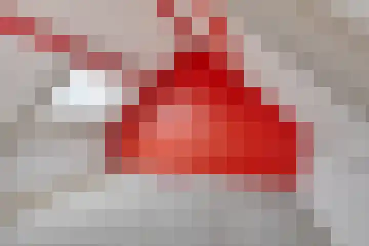Landsheerlaan 69 Zwolle thumbnail 28