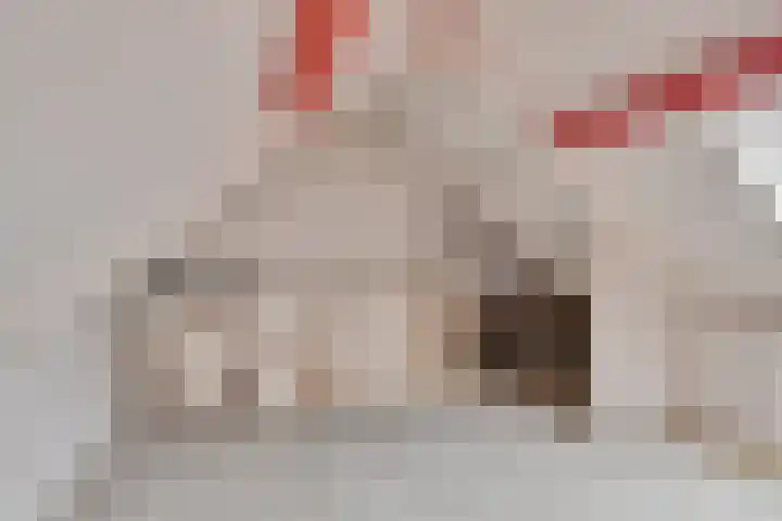 Landsheerlaan 69 Zwolle thumbnail 29