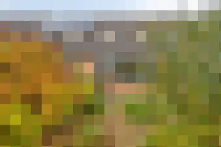 Landsheerlaan 69 Zwolle thumbnail 32