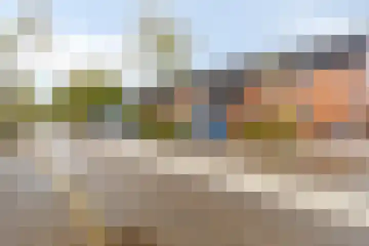 Landsheerlaan 69 Zwolle thumbnail 35
