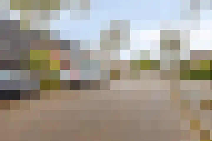 Landsheerlaan 69 Zwolle thumbnail 36