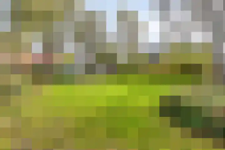 Landsheerlaan 69 Zwolle thumbnail 38