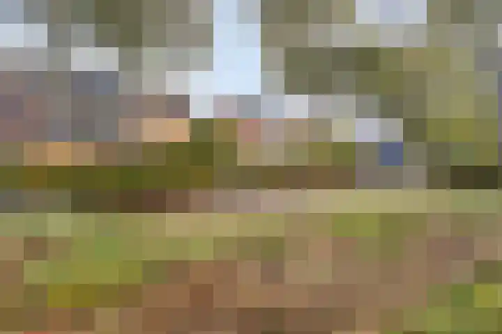 Landsheerlaan 69 Zwolle thumbnail 39