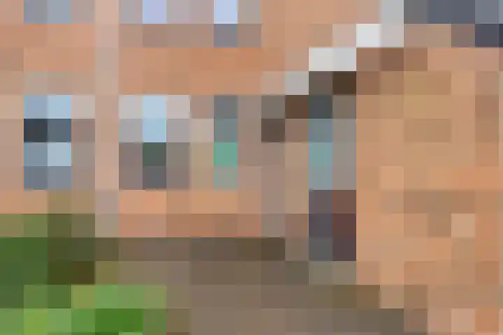 Landsheerlaan 69 Zwolle thumbnail 5