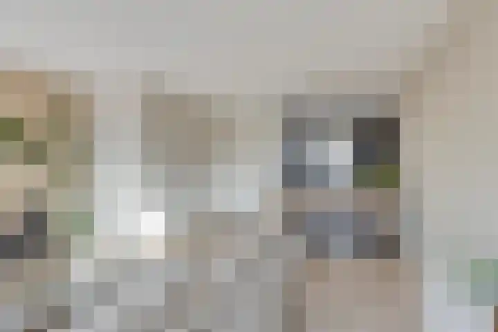 Landsherenlaan 143 G Deventer thumbnail 14
