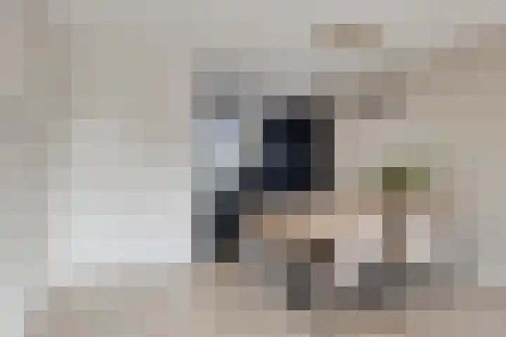 Landsherenlaan 143 G Deventer thumbnail 17