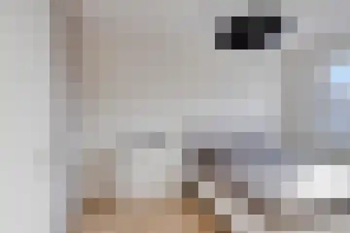 Landsherenlaan 143 G Deventer thumbnail 24