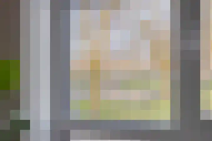 Landsherenlaan 143 G Deventer thumbnail 31