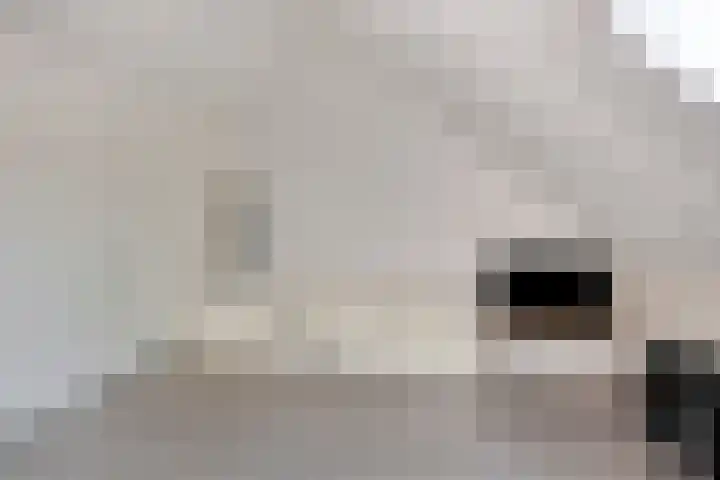 Landsherenlaan 143 G Deventer thumbnail 33