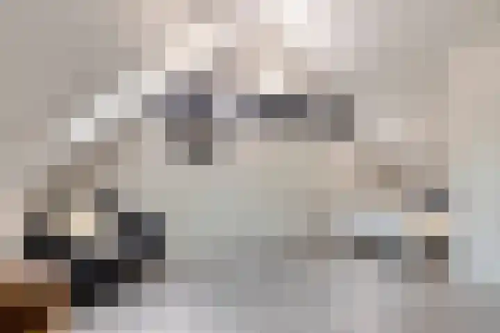 Landsherenlaan 143 G Deventer thumbnail 34