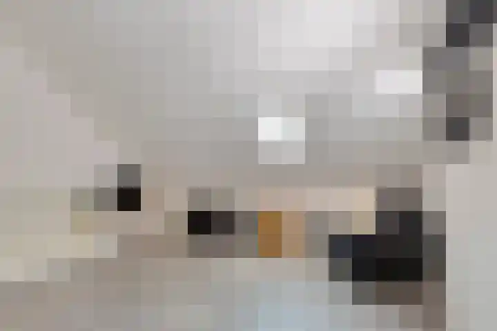 Landsherenlaan 143 G Deventer thumbnail 36