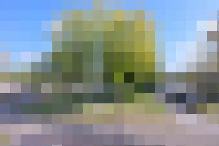 Landsherenlaan 143 H Deventer thumbnail 18