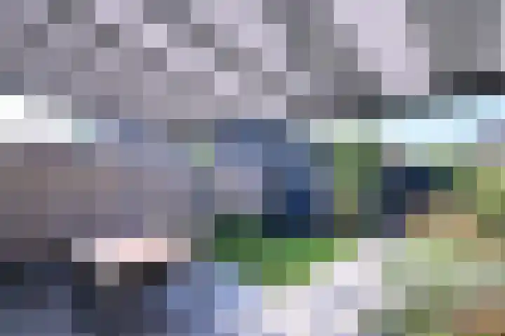 Landsherenlaan 143 H Deventer thumbnail 32