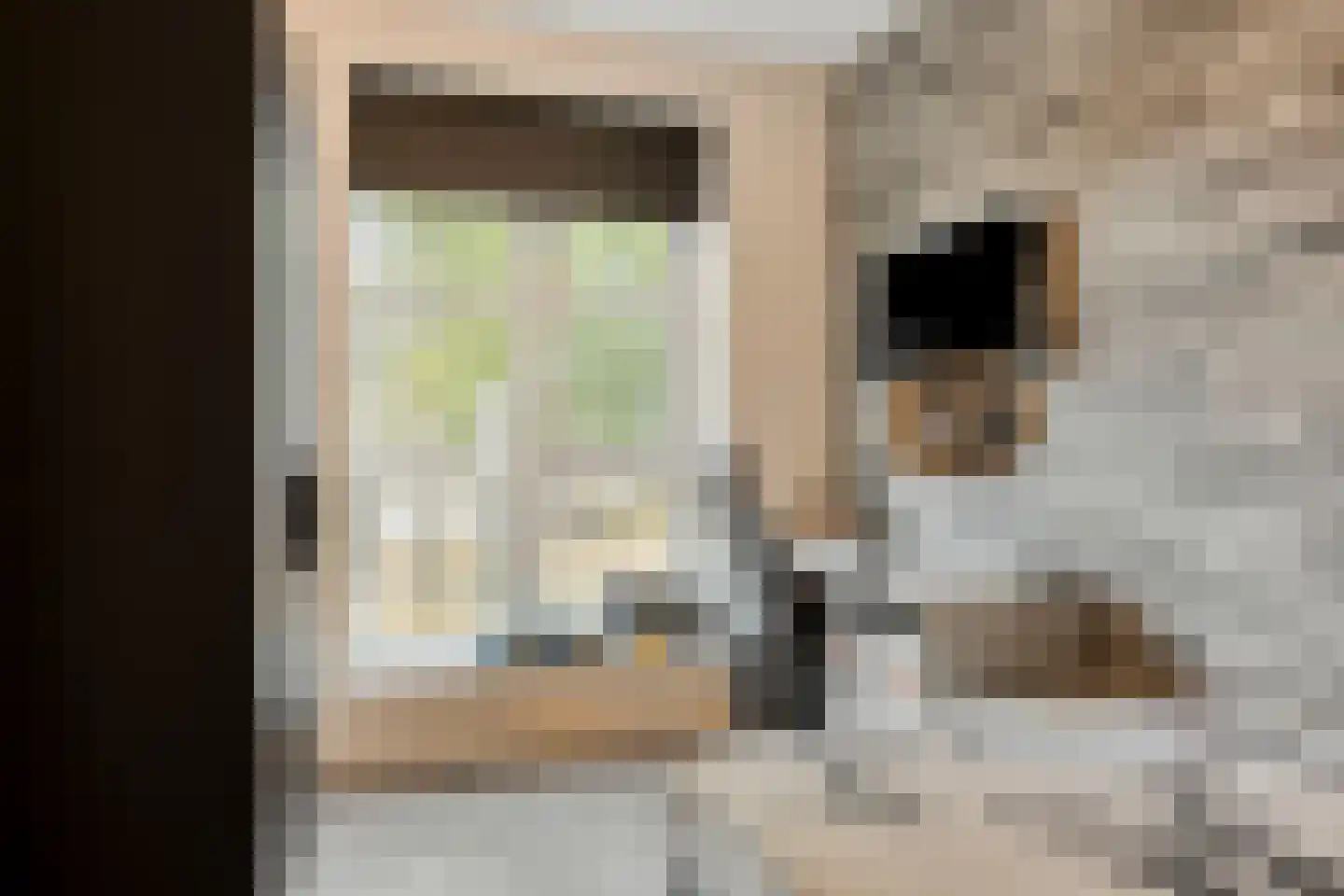Landsherenlaan 143 L Deventer thumbnail 19
