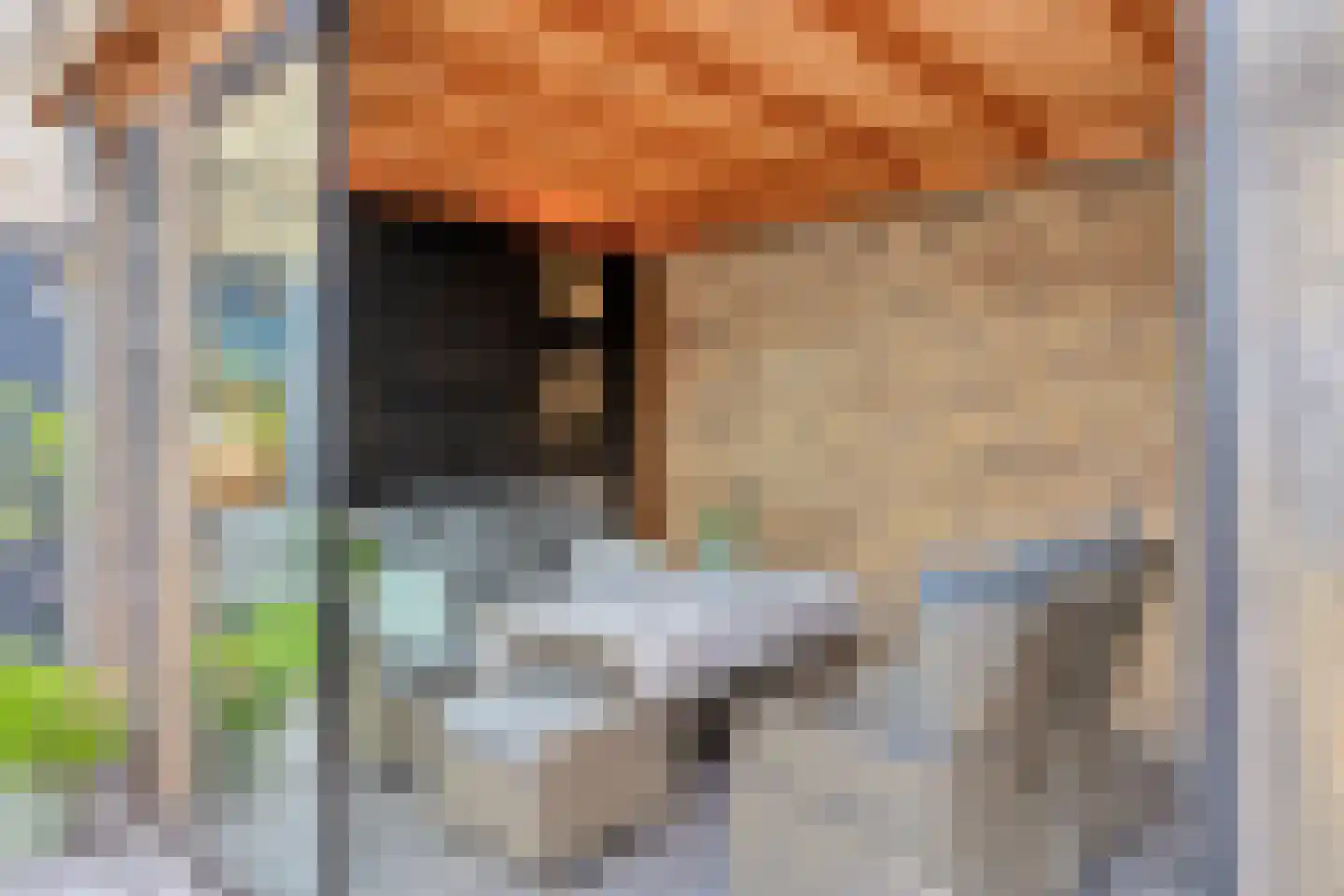 Landsherenlaan 143 L Deventer thumbnail 25