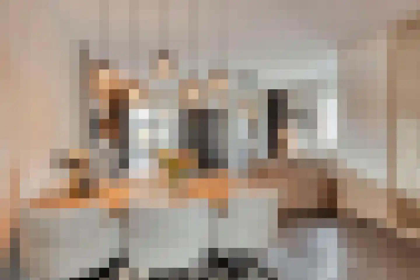 Landsherenlaan 143 L Deventer thumbnail 6