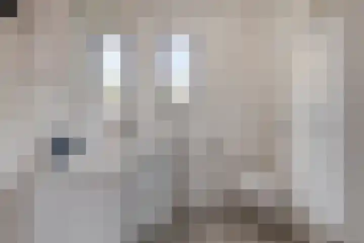 Landsherenlaan 183 Deventer thumbnail 17