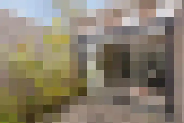 Landsherenlaan 183 Deventer thumbnail 26