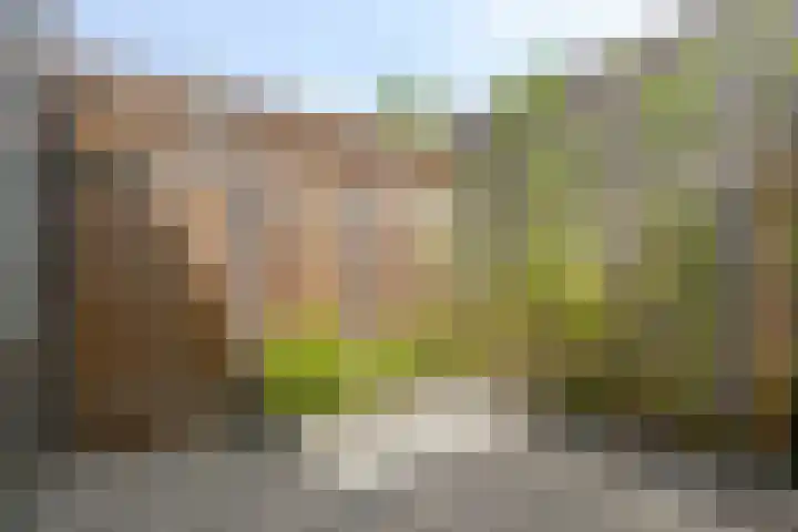 Landsherenlaan 183 Deventer thumbnail 27