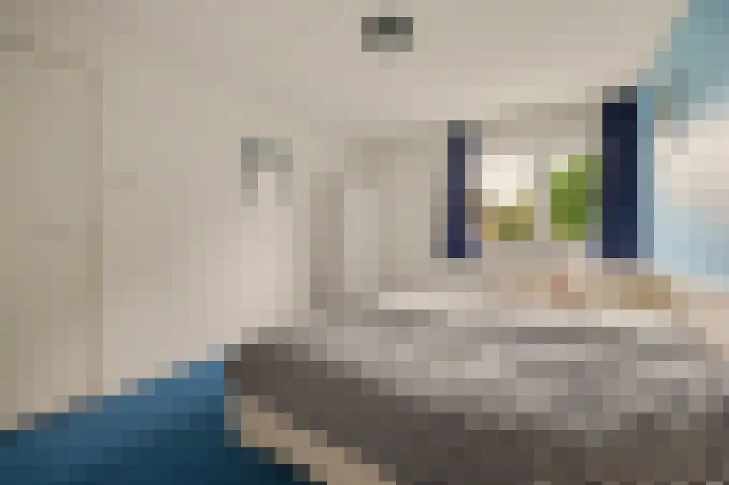 Landslag 26 Huissen thumbnail 19