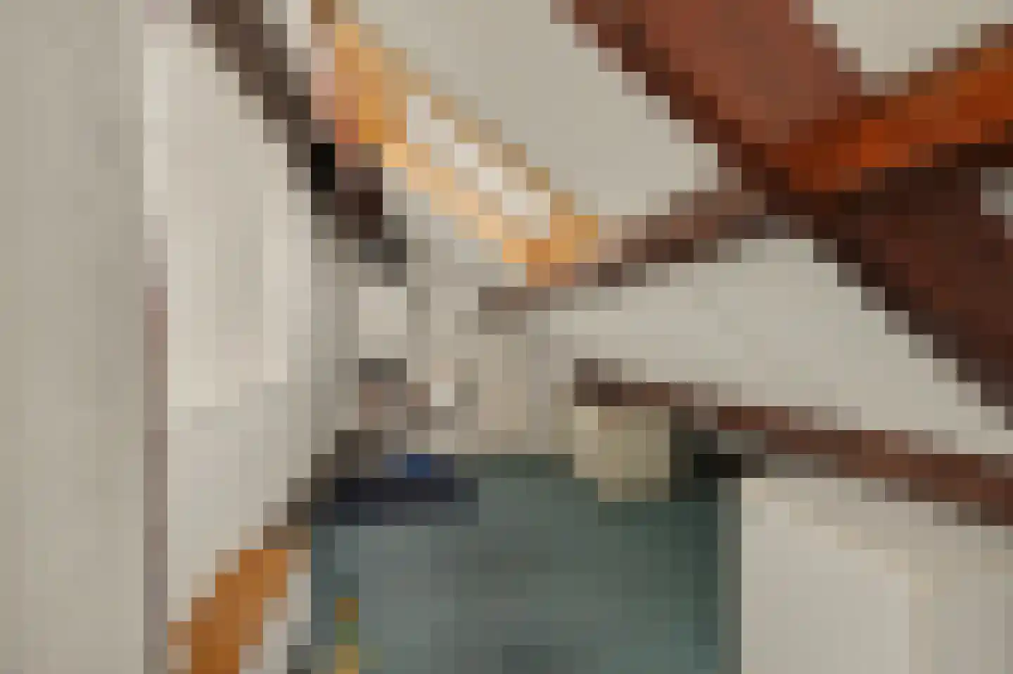 Landslag 26 Huissen thumbnail 31