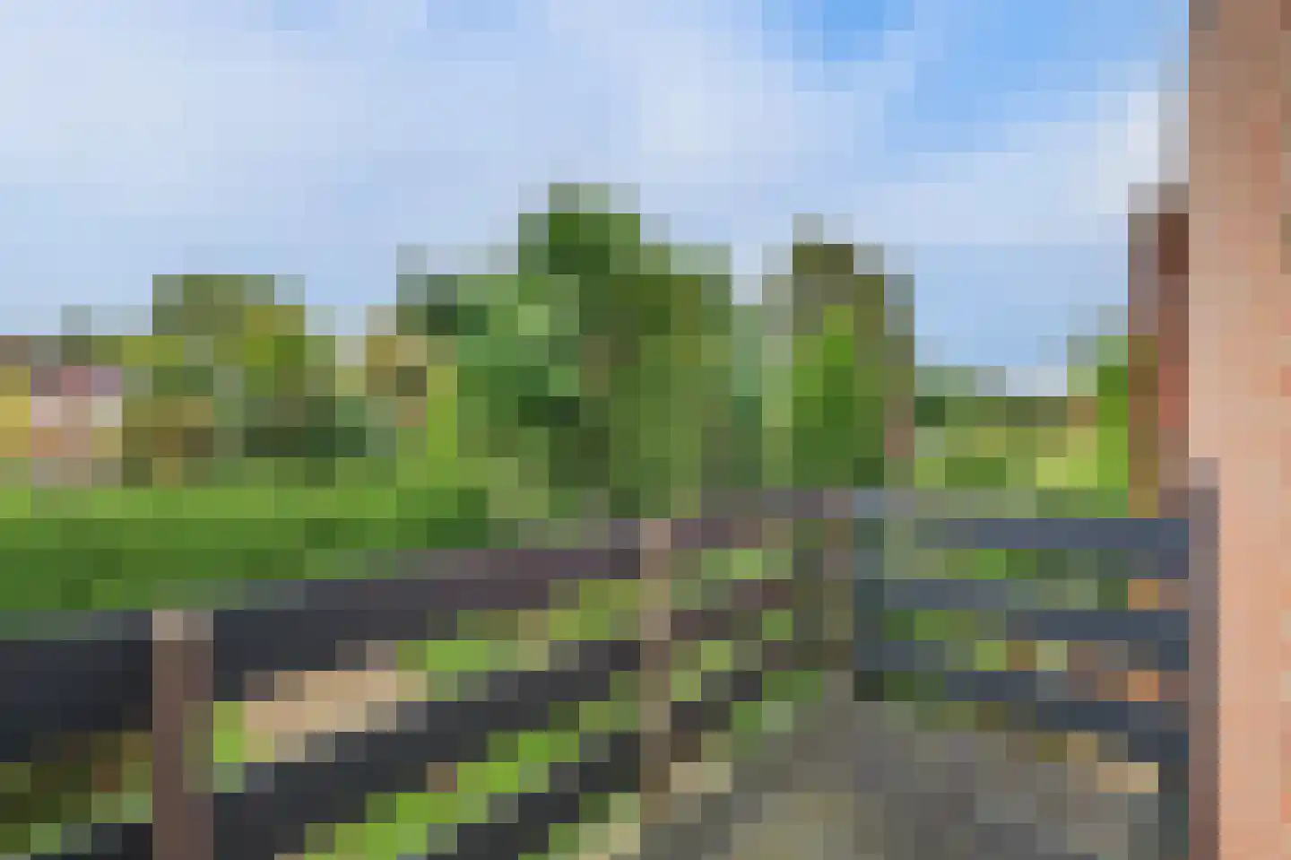 Landslag 26 Huissen thumbnail 32