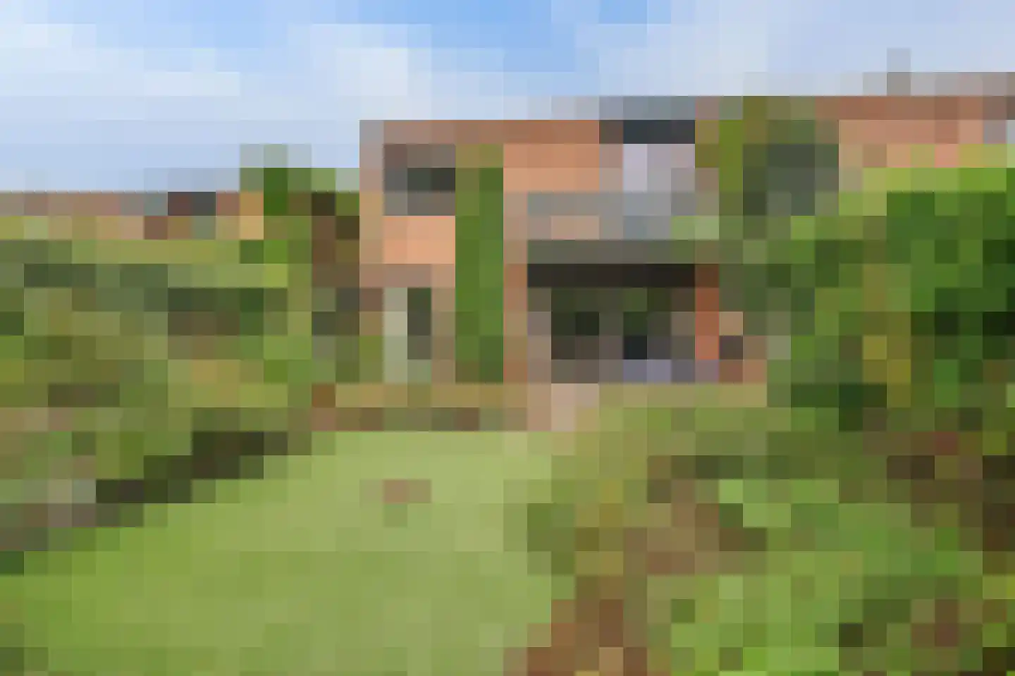 Landslag 26 Huissen thumbnail 37