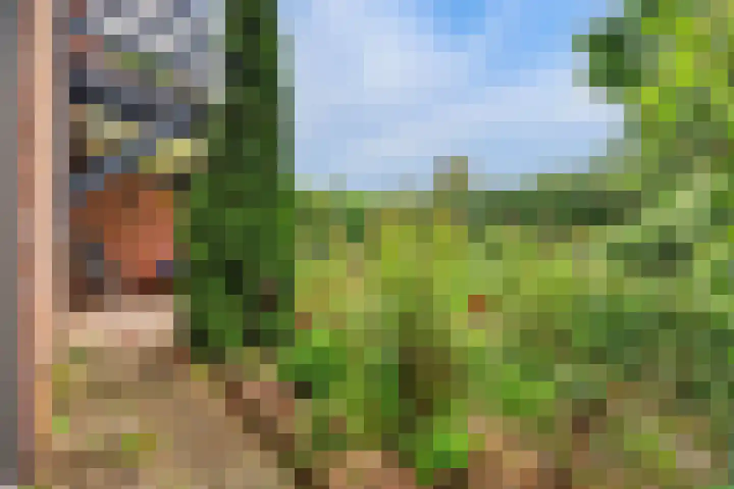 Landslag 26 Huissen thumbnail 39