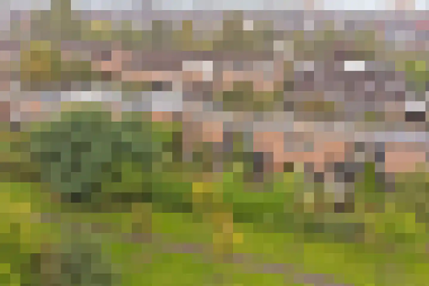 Landslag 26 Huissen thumbnail 42
