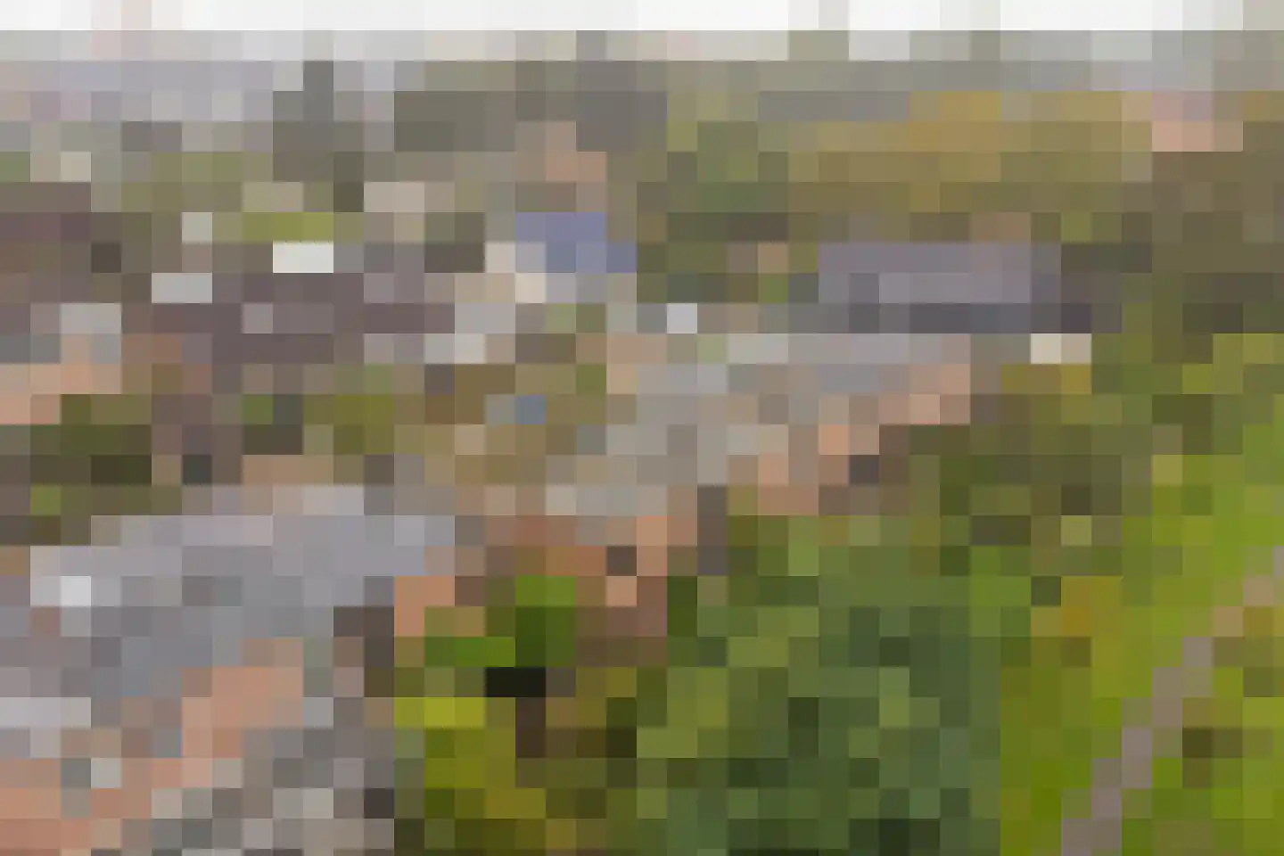 Landslag 26 Huissen thumbnail 44