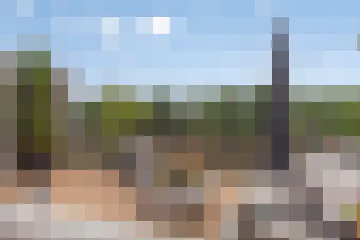 Landsmeerderdijk 20 A Amsterdam thumbnail 13