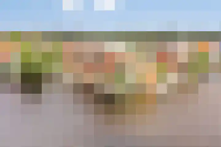 Landsmeerderdijk 20 A Amsterdam thumbnail 33
