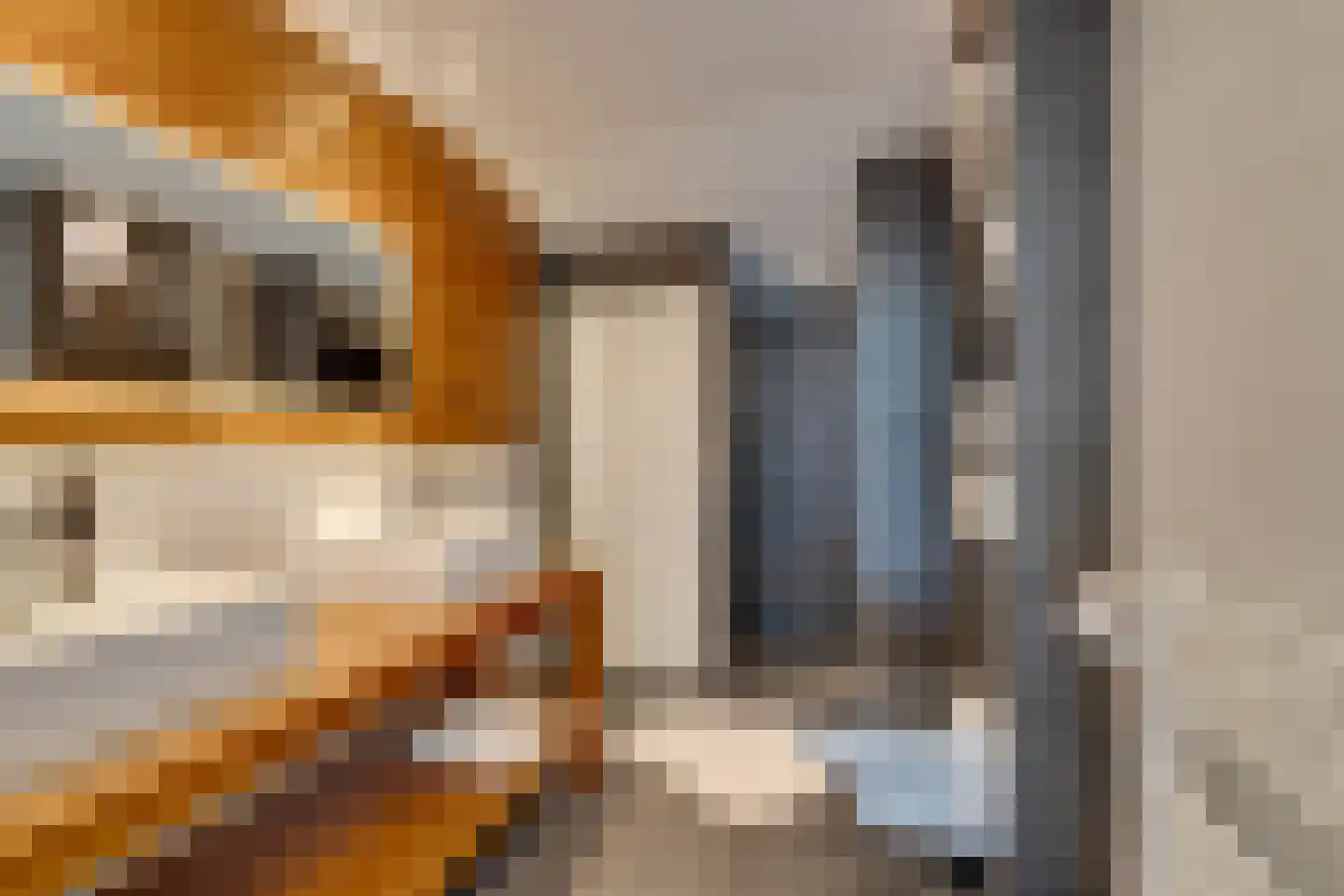 Landsmeerderdijk 20 C Amsterdam thumbnail 33