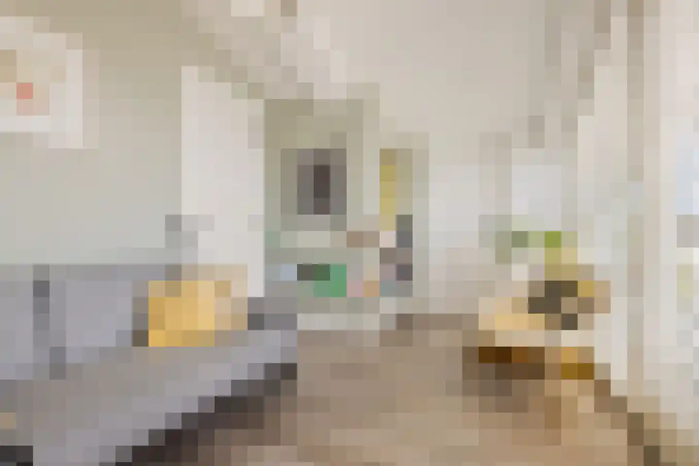 Landsmeerderdijk 20 E Amsterdam thumbnail 35