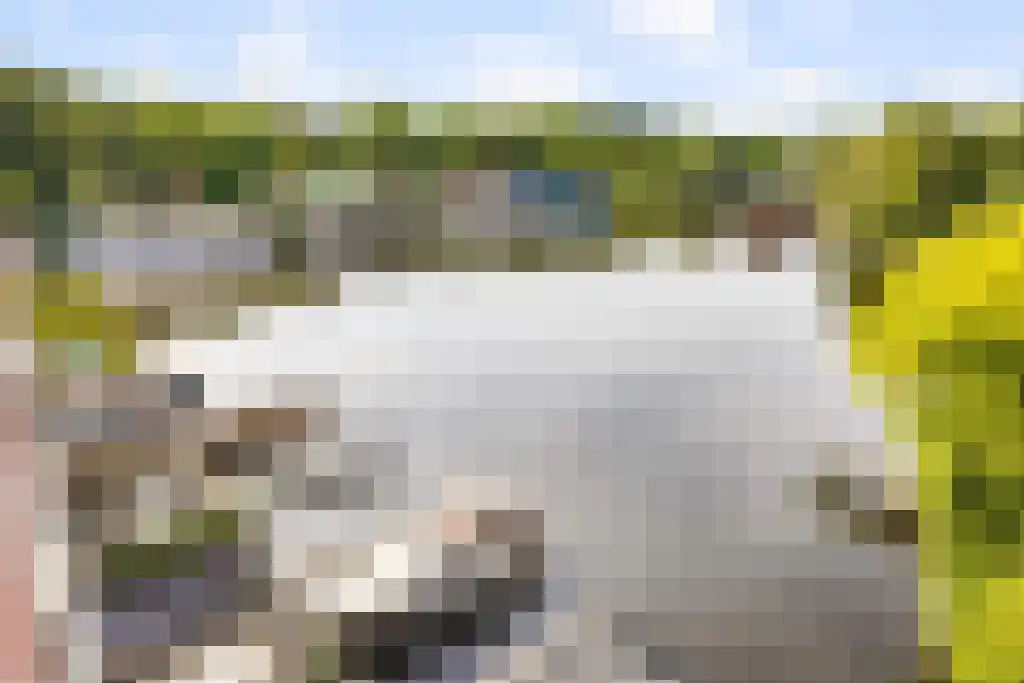 Landsmeerderdijk 20 E Amsterdam thumbnail 42