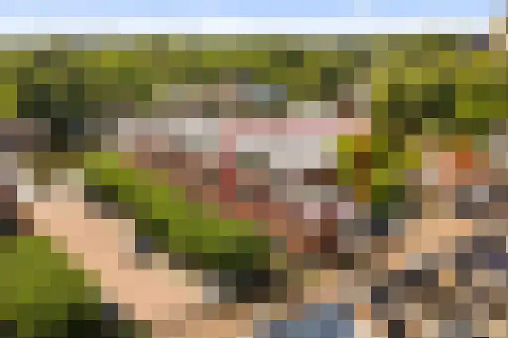 Landsmeerderdijk 20 E Amsterdam thumbnail 5