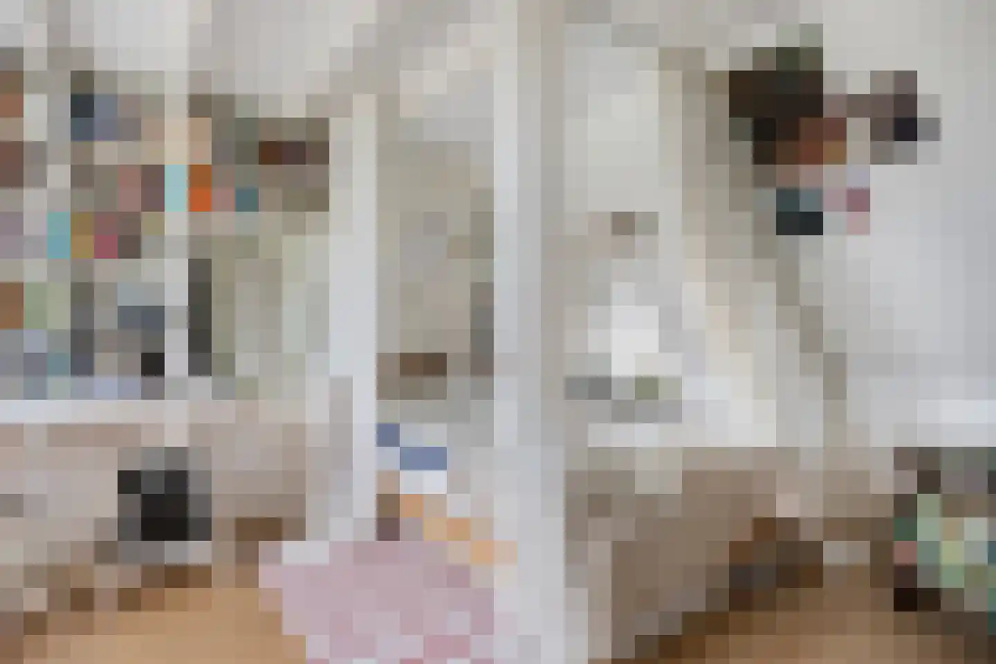 Landsmeerderdijk 37 Amsterdam thumbnail 30