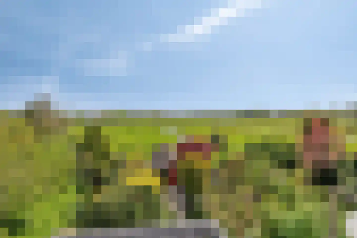 Landsmeerderdijk 37 Amsterdam thumbnail 36