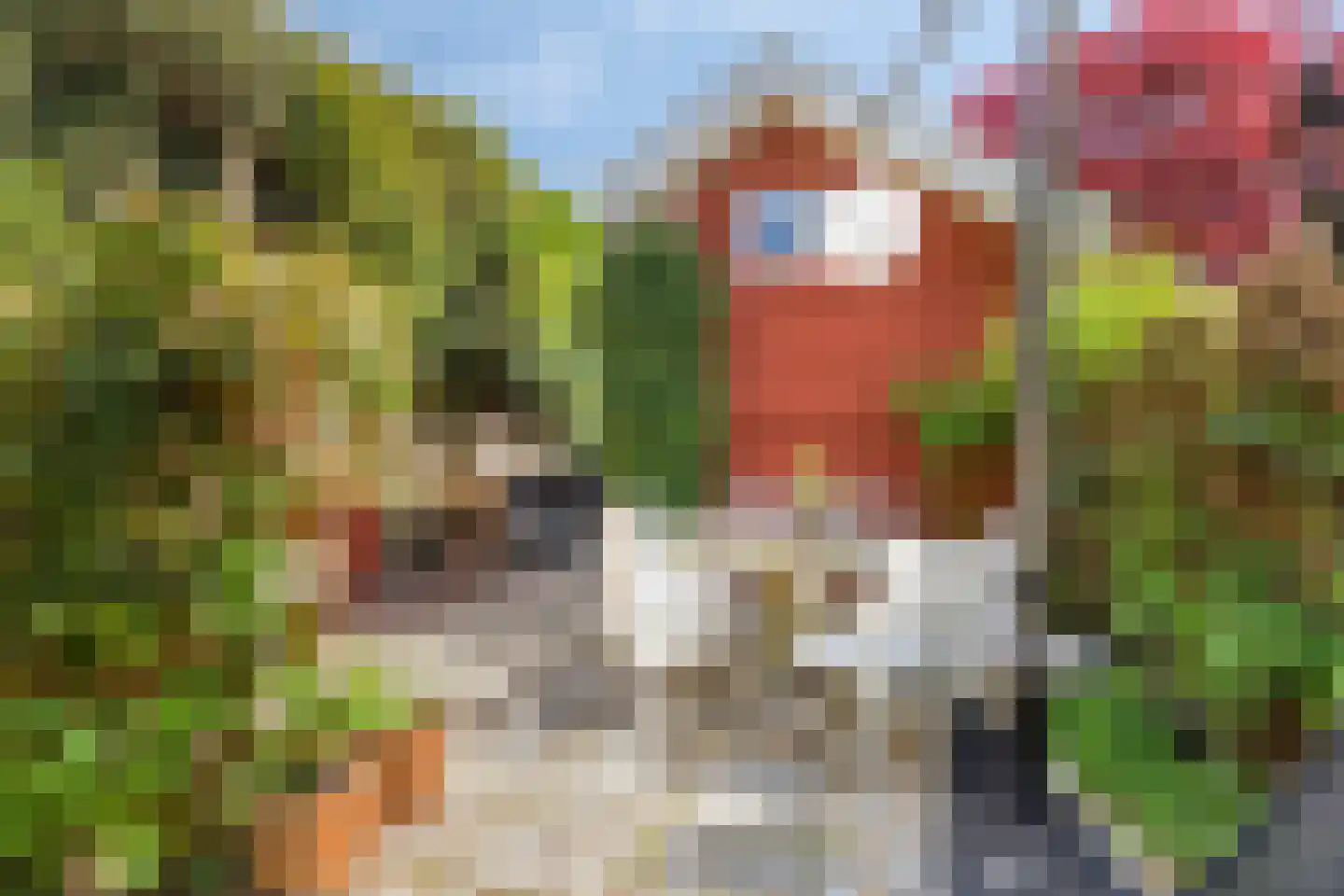 Landsmeerderdijk 37 Amsterdam thumbnail 5