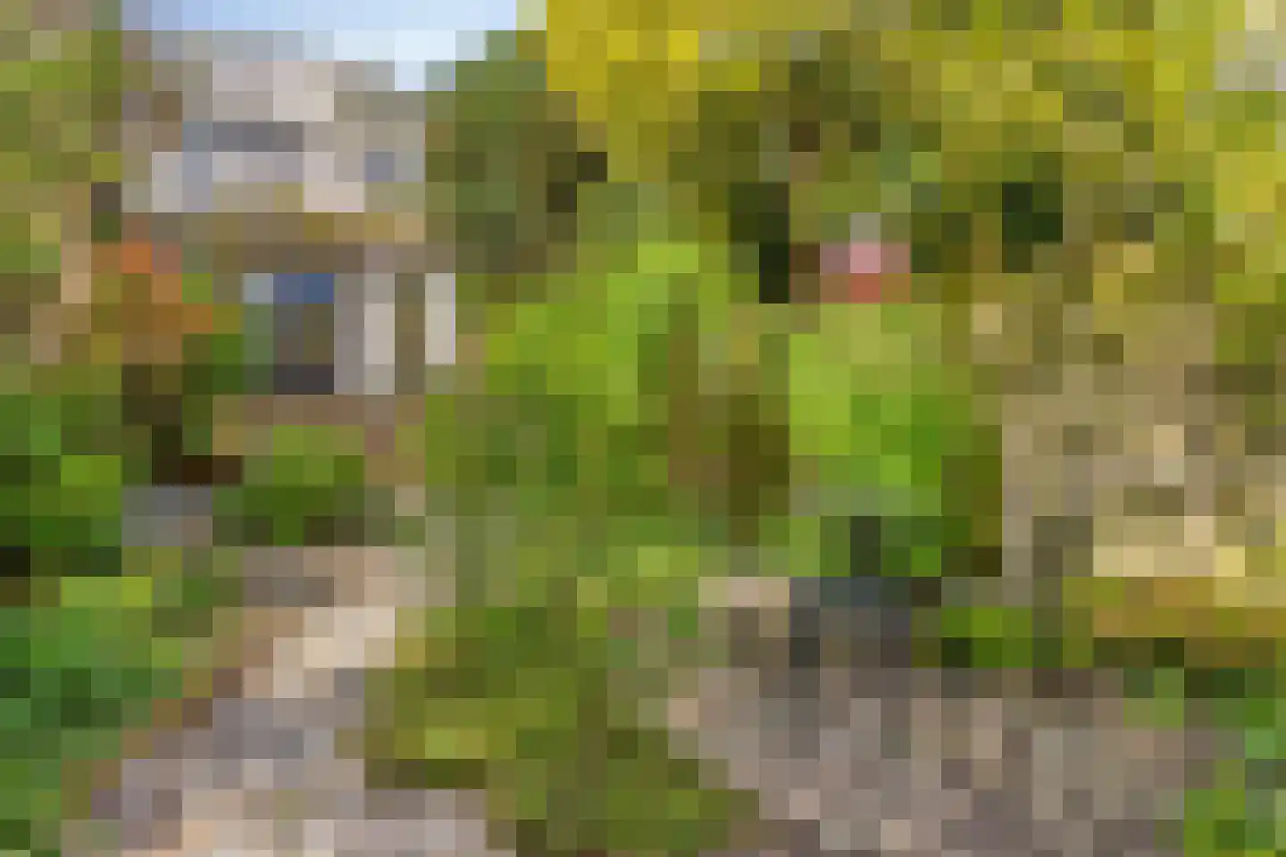Landsmeerderdijk 37 Amsterdam thumbnail 55