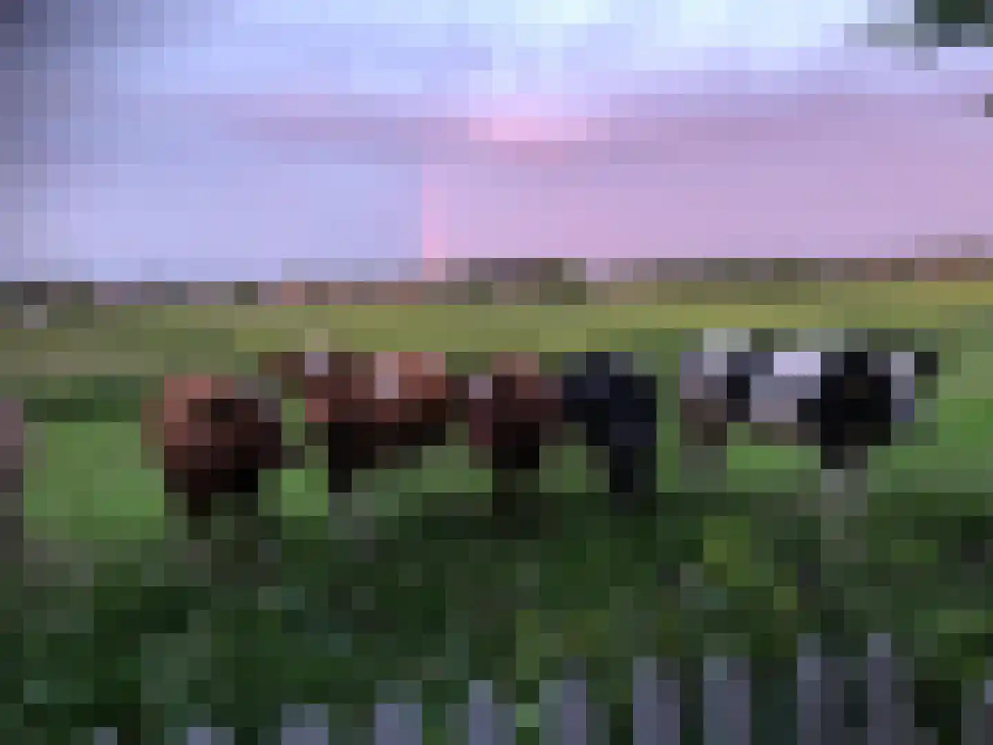 Landsmeerderdijk 37 Amsterdam thumbnail 68