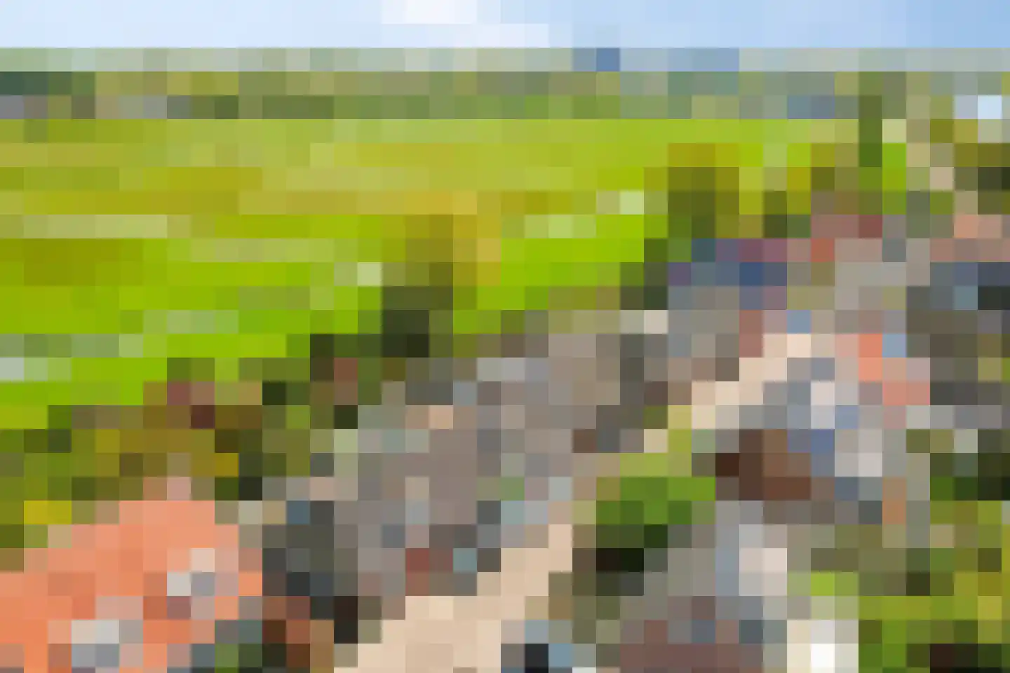 Landsmeerderdijk 37 Amsterdam thumbnail 76
