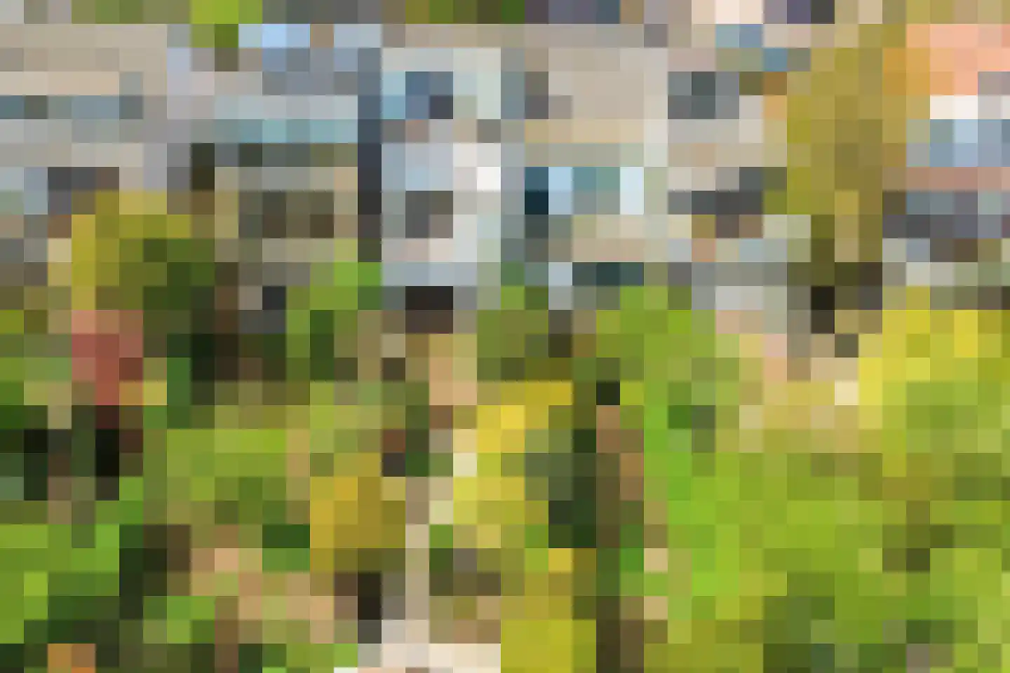 Landsmeerderdijk 37 Amsterdam thumbnail 78