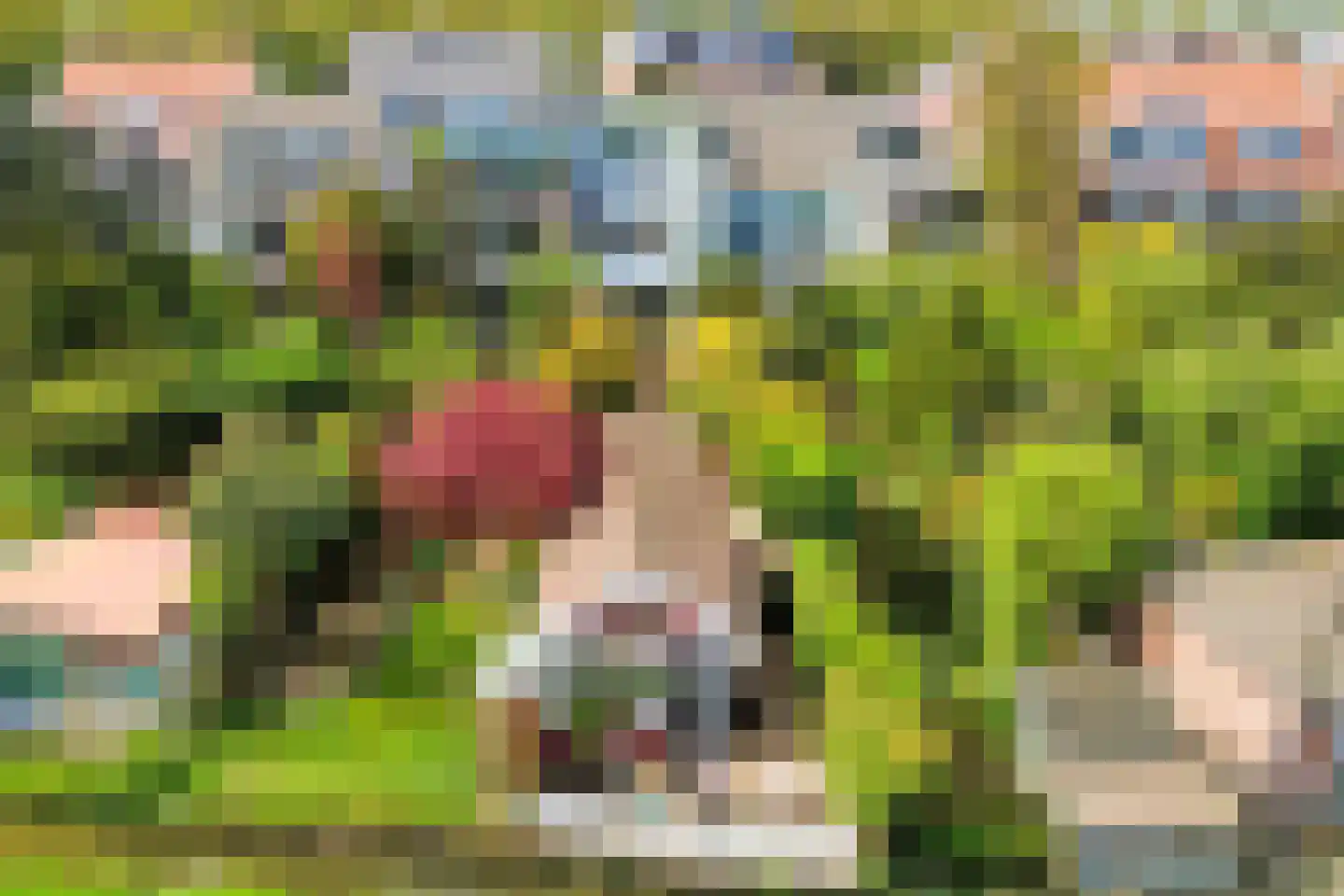 Landsmeerderdijk 37 Amsterdam thumbnail 81