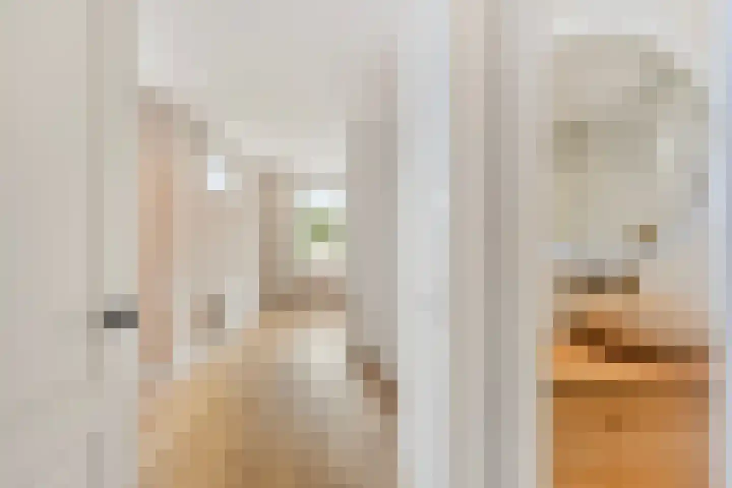 Landsmeerderdijk 8 Amsterdam thumbnail 29