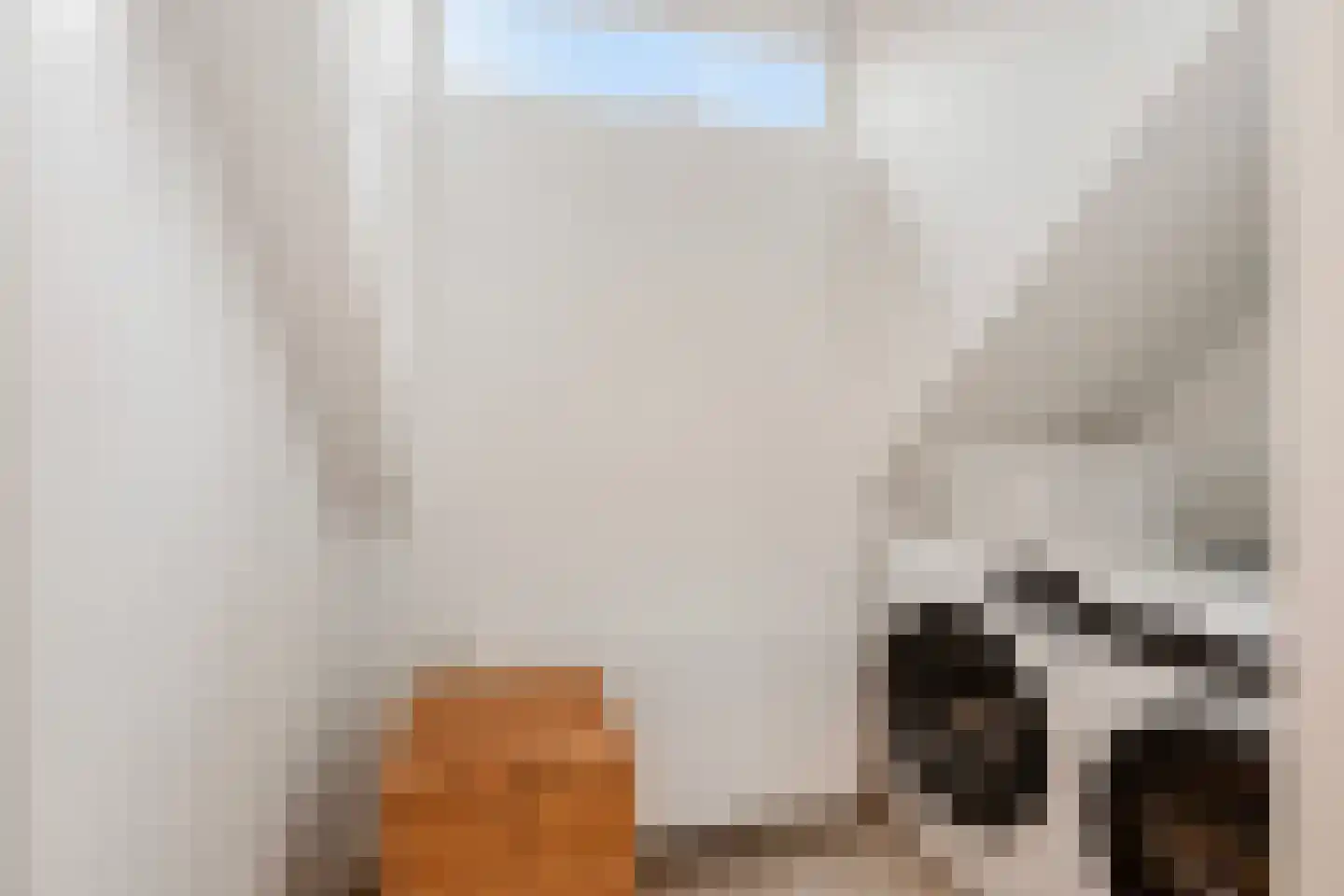 Landsmeerderdijk 8 Amsterdam thumbnail 48