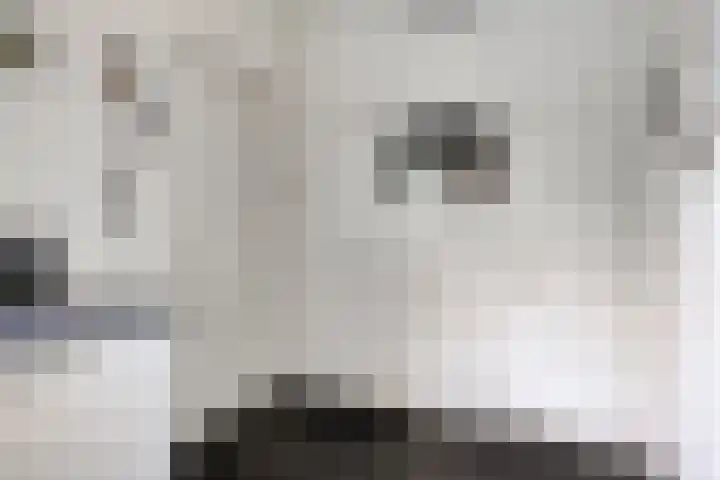 Landspoelen 3 Gieten thumbnail 23