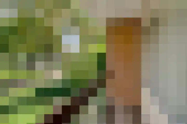 Landspoelen 3 Gieten thumbnail 28