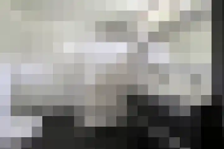 Landspoelen 3 Gieten thumbnail 29