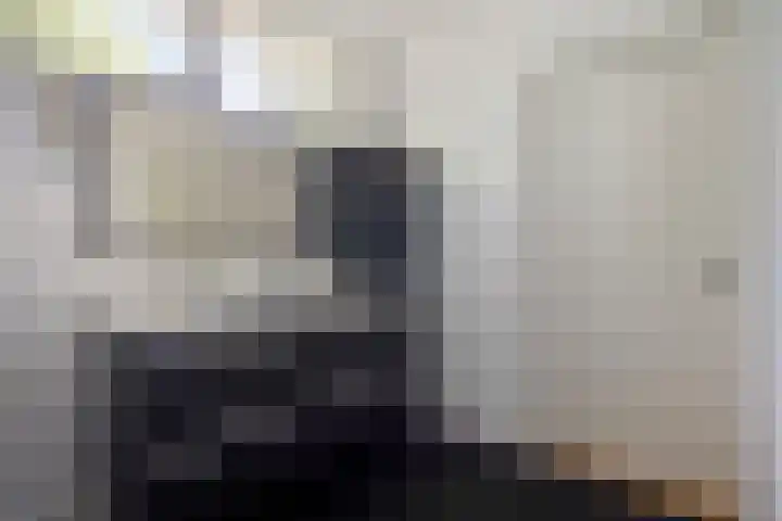 Landspoelen 3 Gieten thumbnail 30
